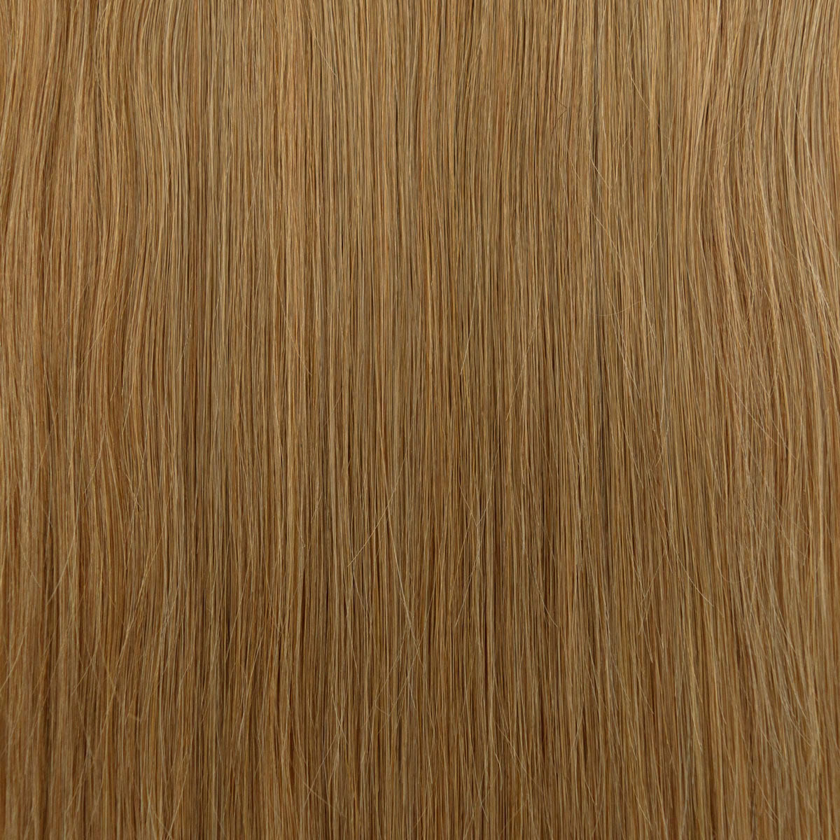 #haarfarbe_dunkelblond #10