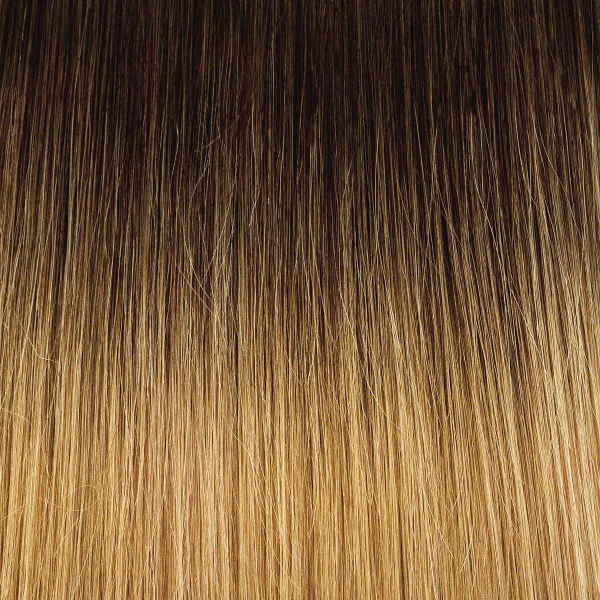 Fill-in Extensions root #04/16