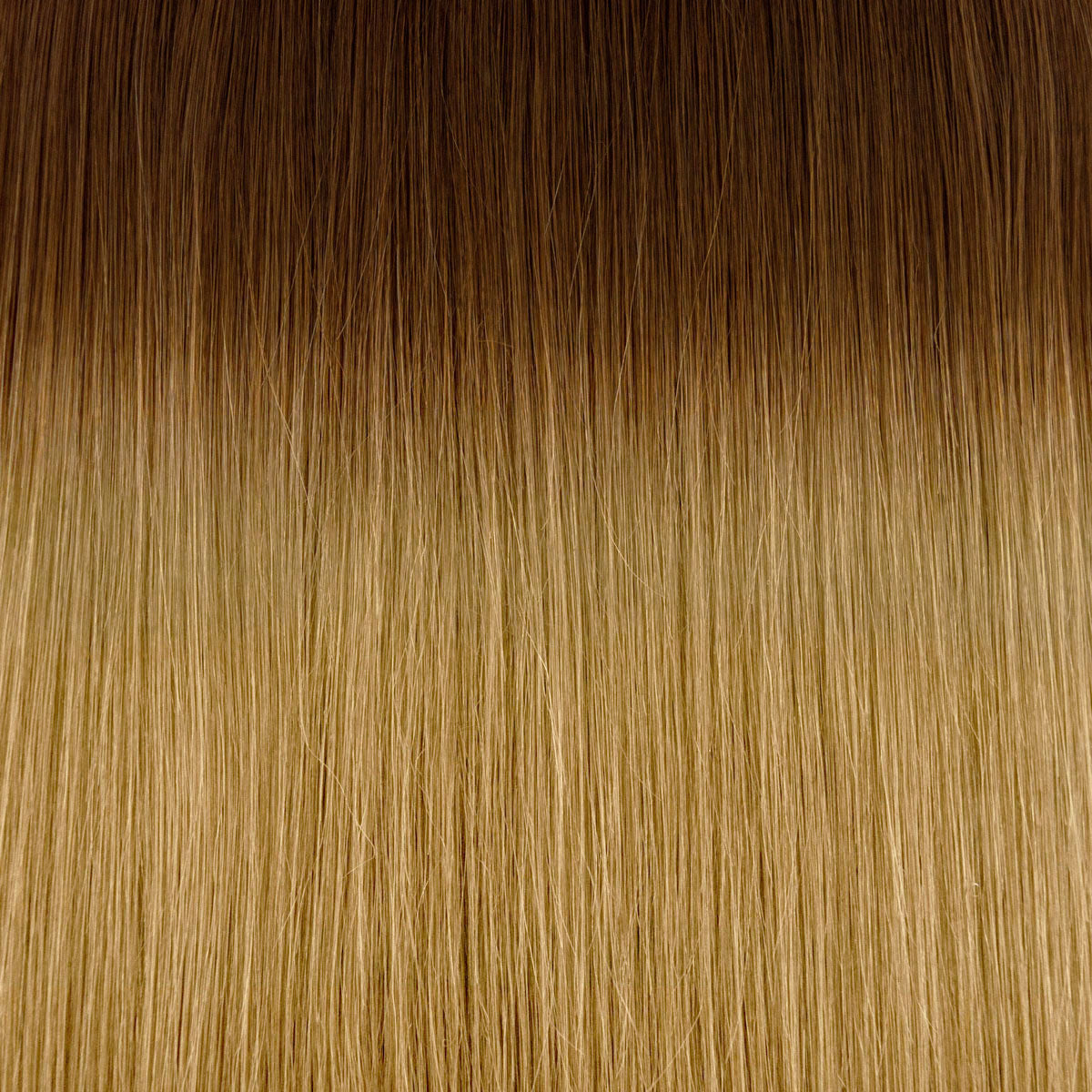 Fill-in Extensions root #06/15