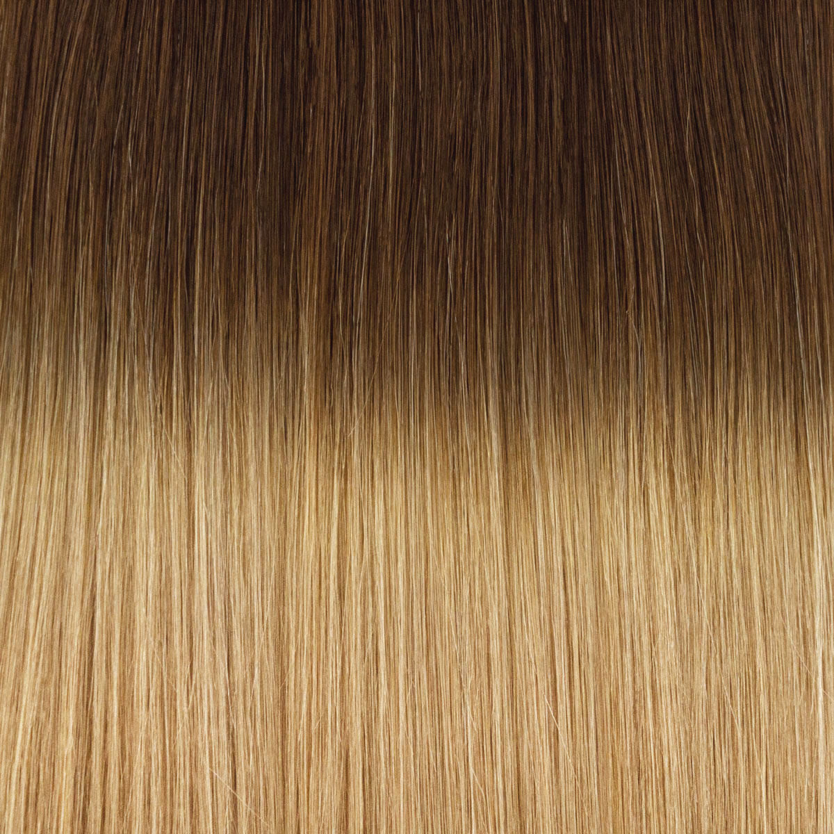 Fill-in Extensions root #06/20