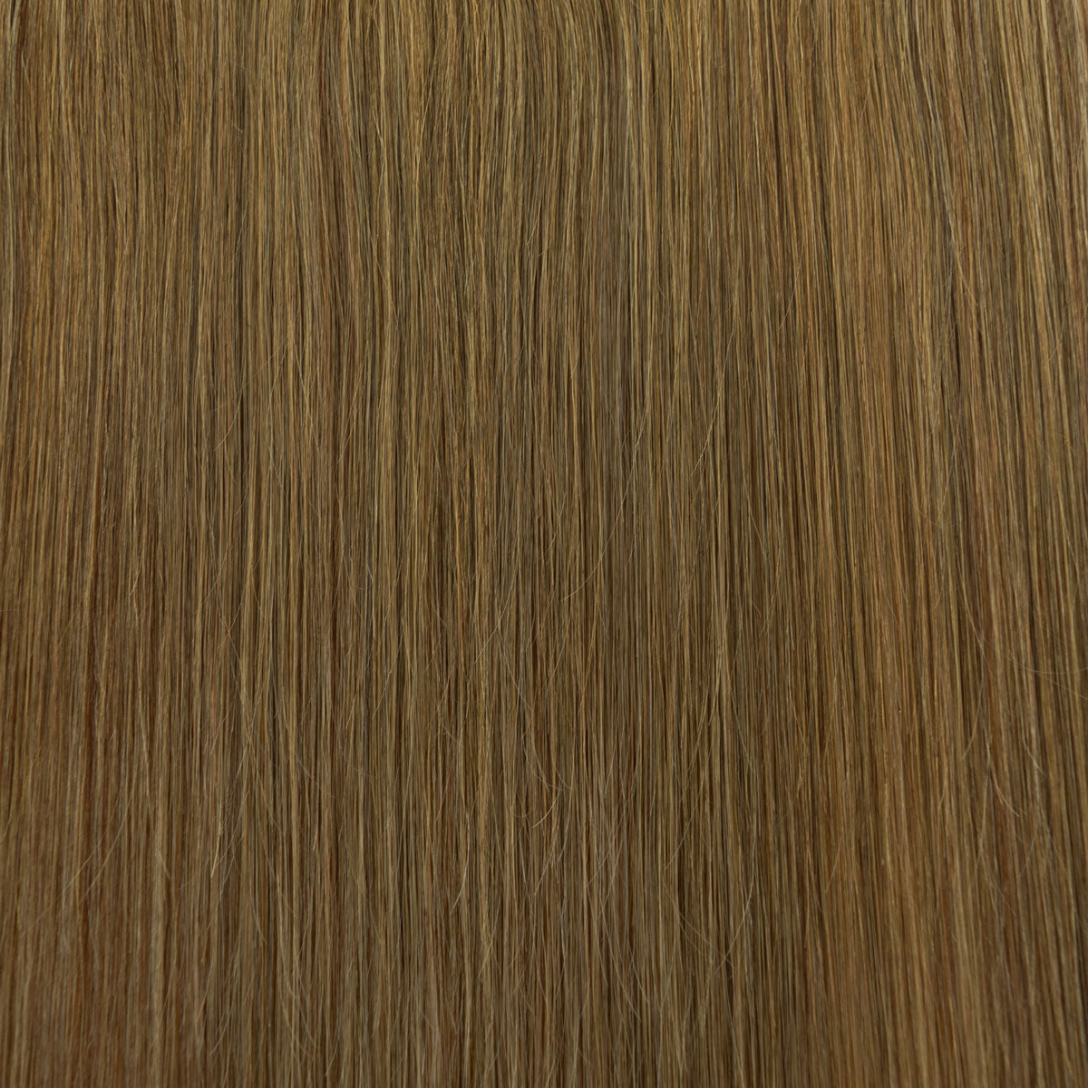 Genius Weft marrone dorato #07