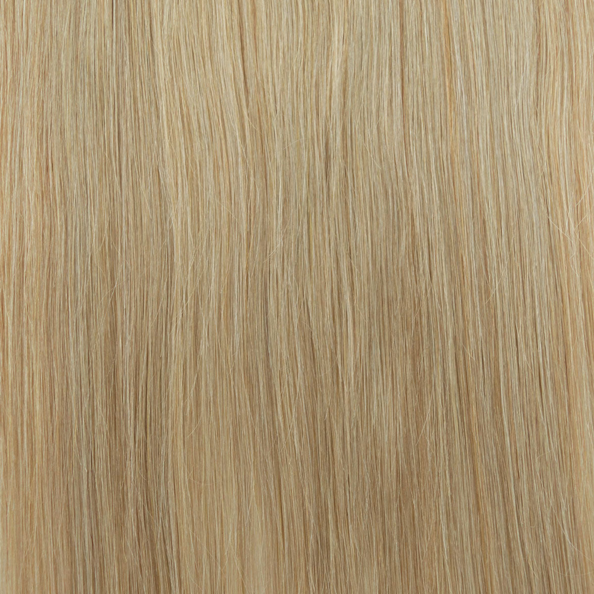 Clip-in-Extensions classic aschblond #18